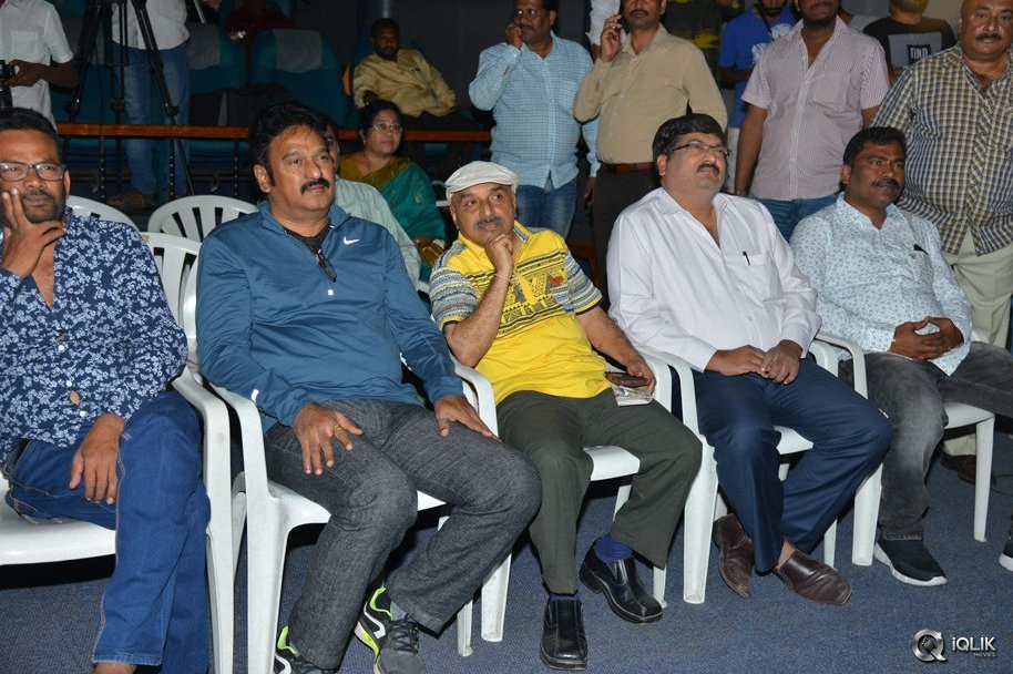 Jayammu-Nischayammu-Raa-Movie-Trailer-Launch